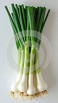 Fresh Green Scallions on White Background