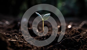 Fresh green seedling grows in muddy soil, symbolizing new life generated by AI