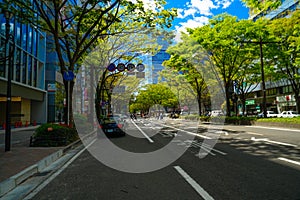 The fresh green of Sendai Jozenji Street