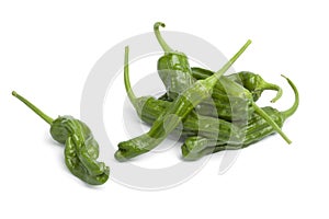 Fresh green shisito peppers