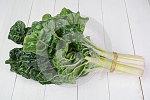 Fresh green silverbeet leaves