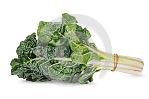 Fresh green silverbeet leaves