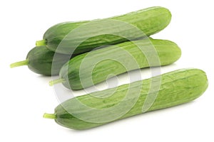 Fresh green snack cucumbers