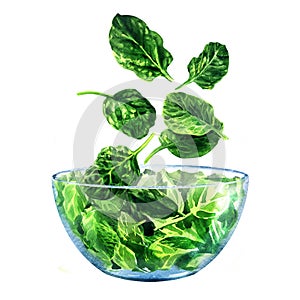 Fresh green spinach falling into glass bowl, ingredient for salad, young baby spinach leaves, close-up, vegetarian food