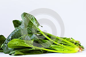 Fresh spinach isolated on white background