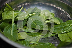 Fresh Green Spinach Leaves as Background close up. Food Ingredients. Food Recipe.