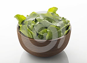 Fresh Green Spinach Leaves in Brown Wooden Bowl Isolated on White Background