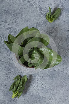 Fresh green spinach leaves in a ceramic bowl on a gray uneven ba