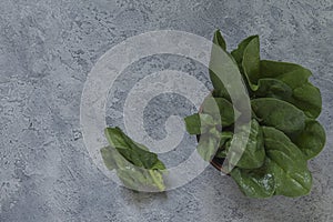 Fresh green spinach leaves in a ceramic bowl on a gray uneven ba