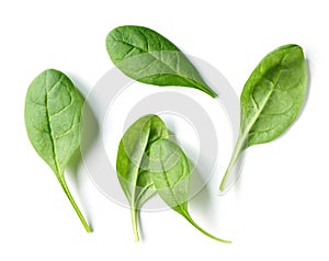 Čerstvý zelený špenát listy 