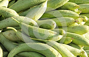 Fresh green sponge gourd
