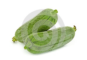 Fresh green sponge gourd or luffa isolated on white