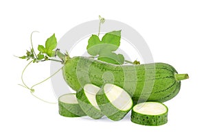 Fresh green sponge gourd or luffa with leaf isolated on white