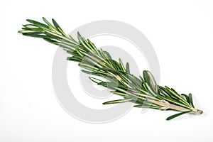 Fresh green sprigs of rosemary isolated on a white background