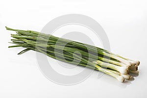 Fresh Green Spring Onion on White Background Shot in Studio