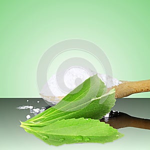 Fresh green Stevia and extract powder on green background