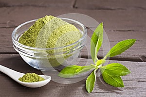 Fresh green Stevia herb and extract powder - Stevia rebaudiana.