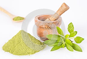 Fresh green Stevia herb and extract powder - Stevia rebaudiana. white background