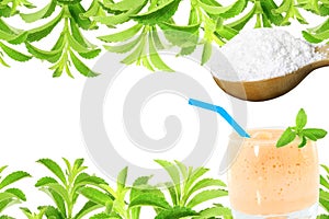 Fresh green Stevia rebaudiana and extract powder in wooden spoon with drinks glass and text copy space on white backgr