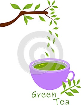 Fresh green tea illustration with leaves