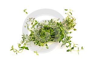 Fresh green thyme on white background