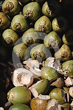 Fresh green unpeeled coconuts with flies crawling on othem