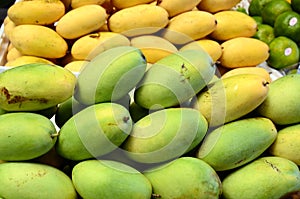 Fresh green unripe mango fruits symmetrically to attract buyers at market stall photo