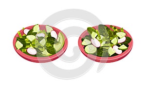 Fresh green vegetable salad in ceramic bowl. Fresh and healthy vegetarian food vector illustration