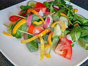 Fresh green vegetable salad with radish, tomatoes, color peppers