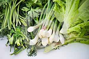 Fresh green vegetables