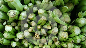 Fresh green vegetables abstract background.