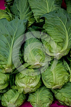 Group of fresh green vegetables
