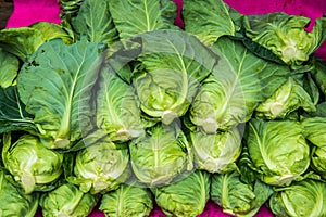 Group of fresh green vegetables