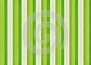 Fresh Green Vertical Stripe Pattern Background Fabric Textile