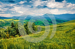 Fresh green view of Carpathians with Hoverla and Petros peaks on background