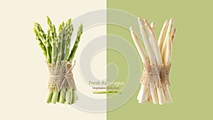 Fresh green and white asparagus isolated on pastel color background with copy space