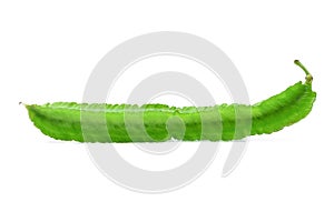 Fresh green winged bean isolated on white background
