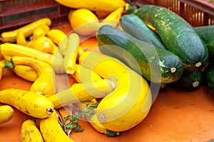 Fresh green and yellow zucchini