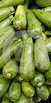 Fresh green zucchini background