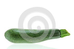 Fresh Green Zucchini