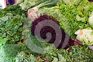 Fresh greenery at vegetable market photo