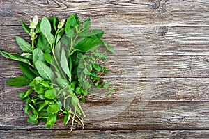 Fresh greens and herbs, harvested from the garden. Herbs for making herbal tea. Bunch useful products on a wooden table