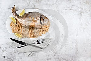 Fresh grilled dorado or sea bream fish with lemon and rosemary served with rice. Delicous dorada fish cooked on grill in seafood