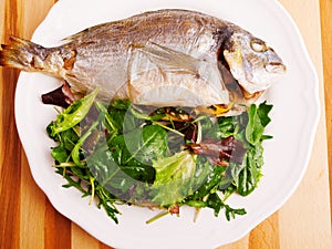 Fresh grilled Gilt-head bream