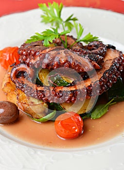 Fresh grilled octopus photo