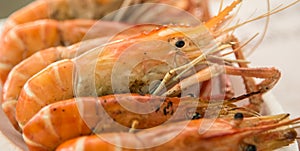 Fresh grilled shrimps on white plate