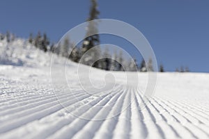 Fresh groomed snow on ski slope at ski resort on a sunny winter day. snow groomer tracks on a mountain ski piste. snowy spruces in