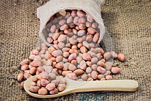 Fresh ground nuts in spoon