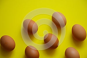 Fresh group of poultry eggs uncooked on yellow background