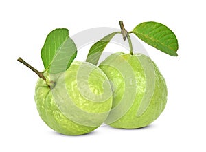 Fresh guava fruit isolated on white background
